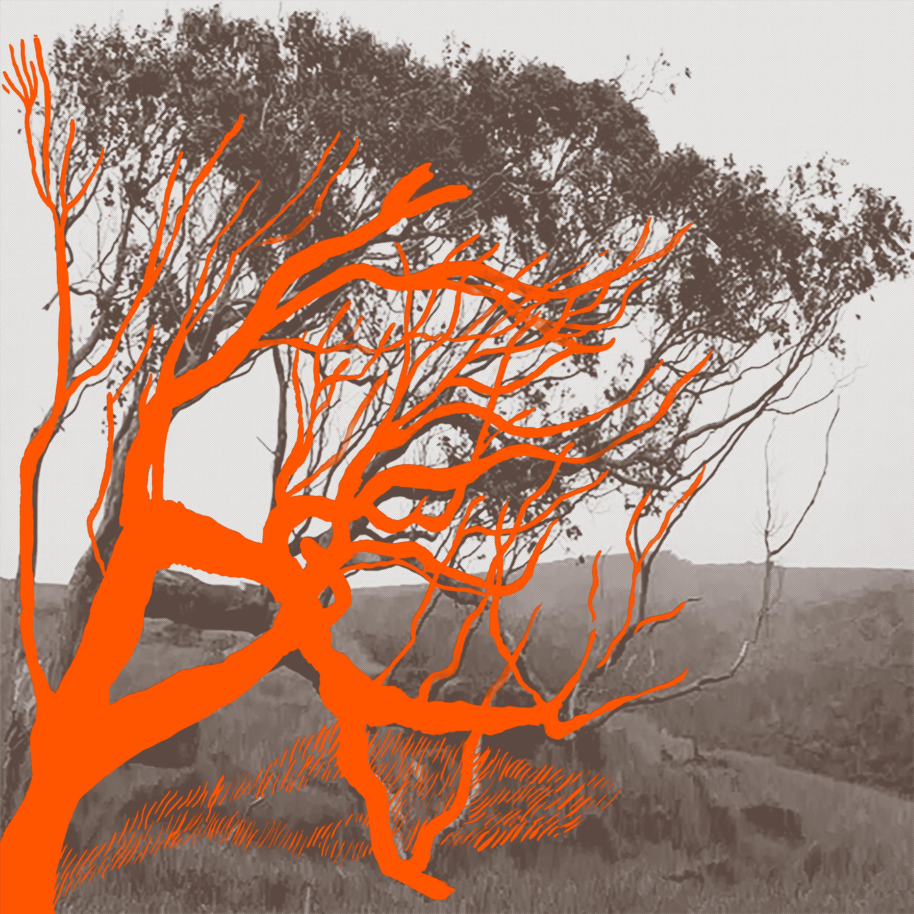 Indeed I Do single artwork — orange eucalyptus illustration